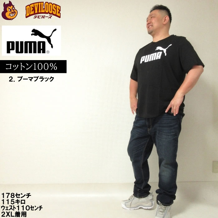 12783202-18.jpg