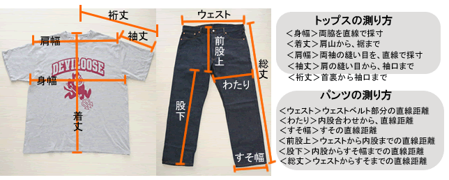 サイズ参考