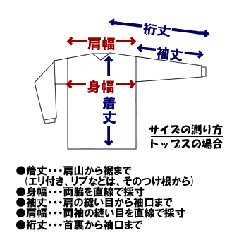 サイズの見方