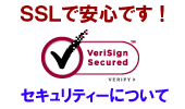 SSL セキュリティーの説明